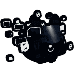 Hacked Raccoon Regular