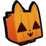 Pumpkin Cat Regular
